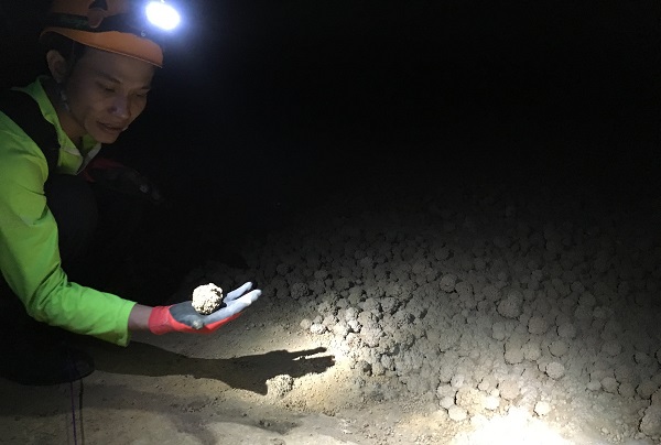 Guide showing a cave pearl in a limestone cavern in central Vietnam | GeoEx Adventure Travel