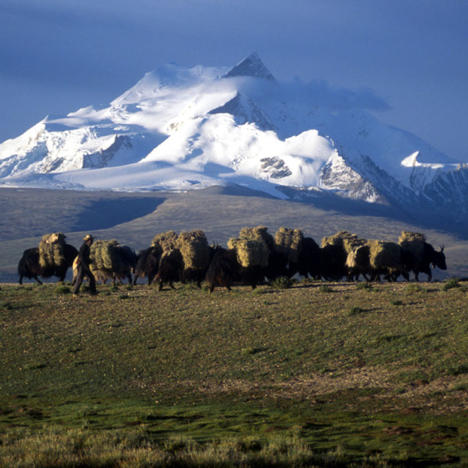 Himalaya mountain range in Tibet by Vassi Koutsaftis