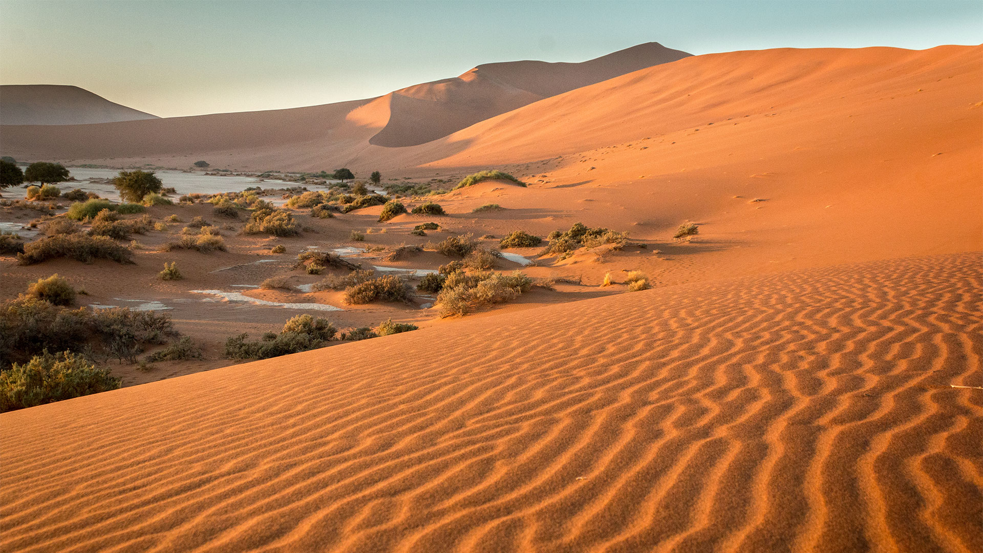 Sossusvlei Dunes - Tarry Butcher / Ultimate Safaris