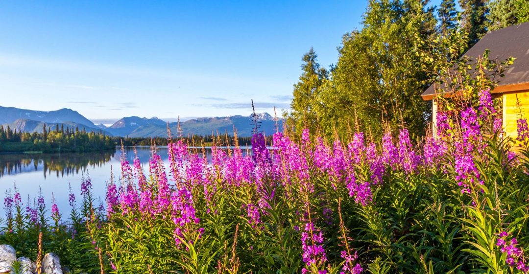 View from Red Lake Trail, Winterlake Lodge, Alaska