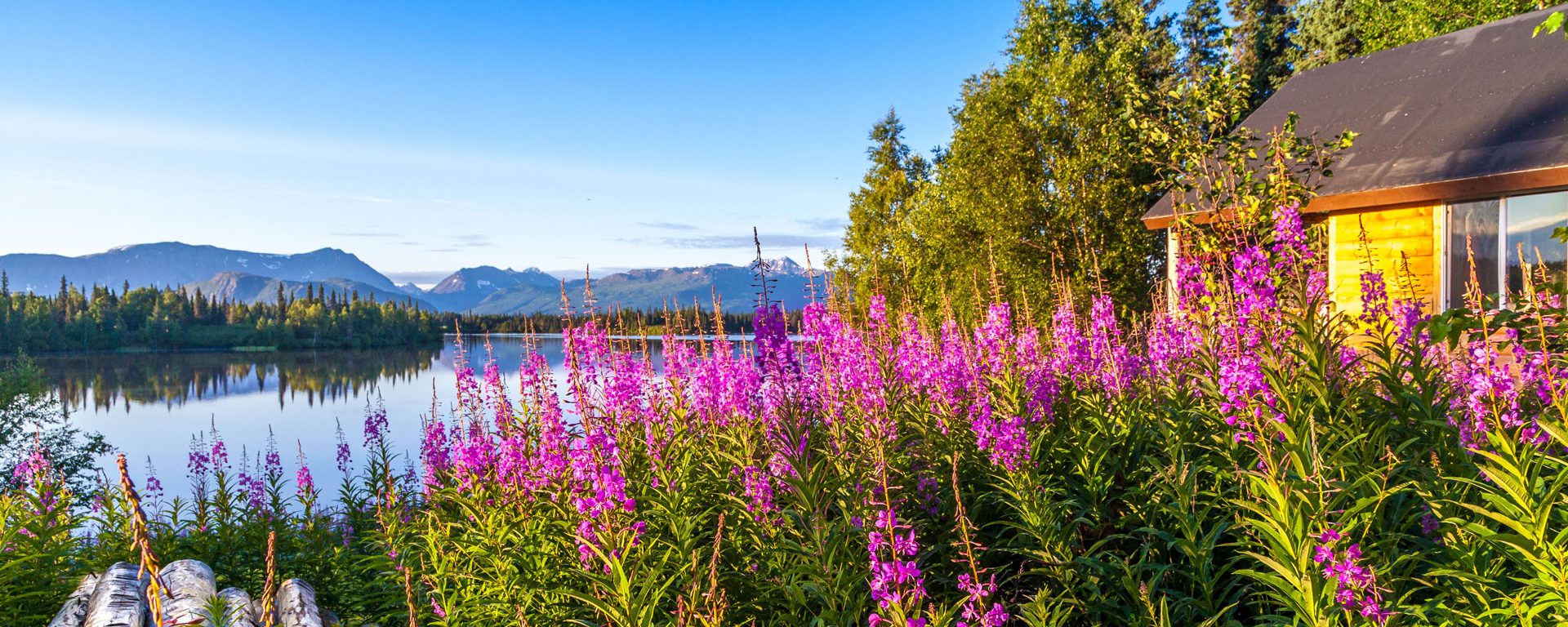 View from Red Lake Trail, Winterlake Lodge, Alaska