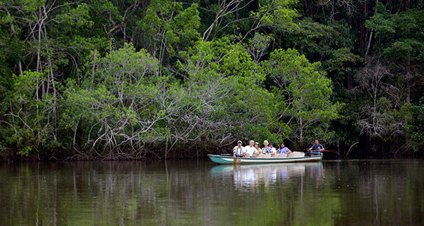 Tourists viewing wildlife in a canoe along Napo River in the Amazon, Ecuador