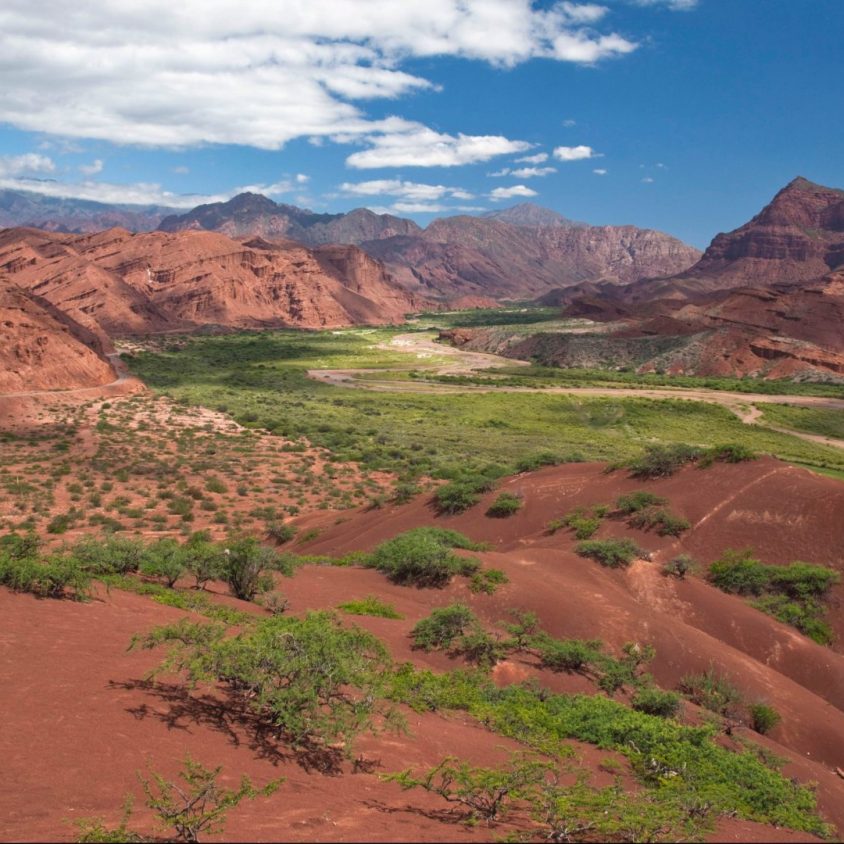 The red-rock Quebrada de Cafayate Canyon in Salta Province, Northwest Argentina