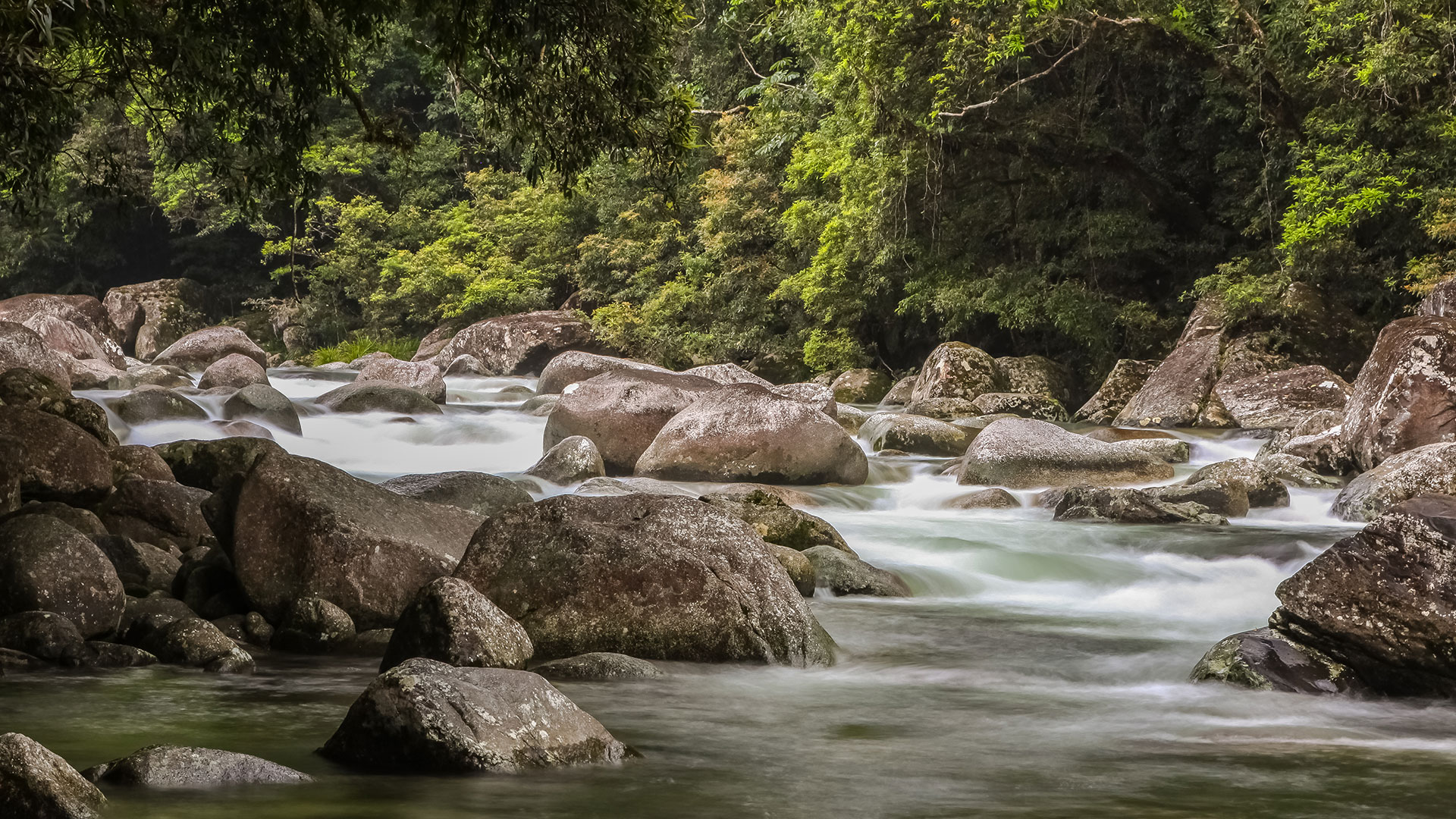 Mossman Gorge in Daintree National Park, Queensland, Australia