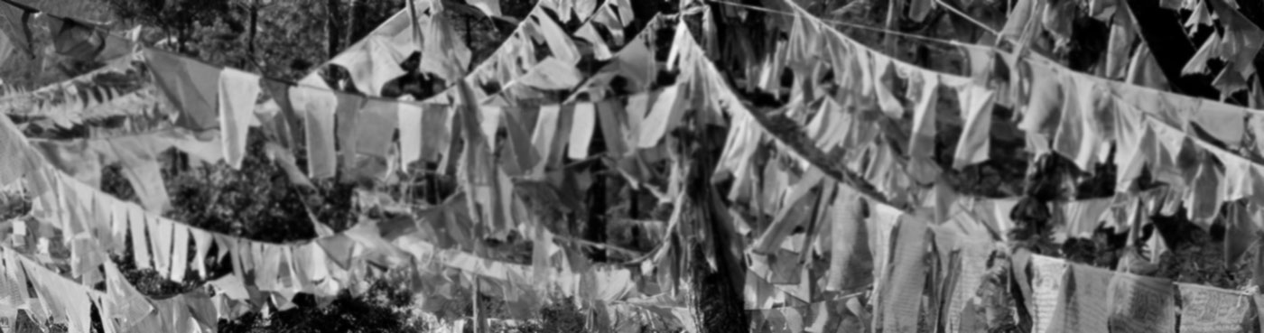 Prayer flags from Sangaygang telecommunications tower to Wangditse Goemba.