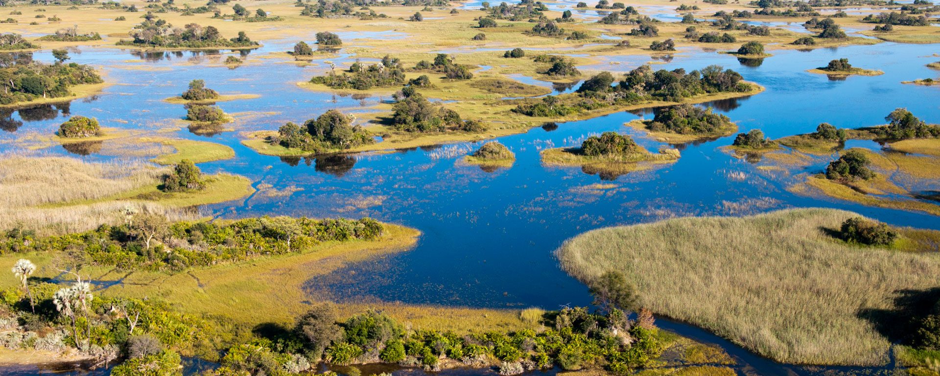 Aerial view of the Okavango Delta, Botswana