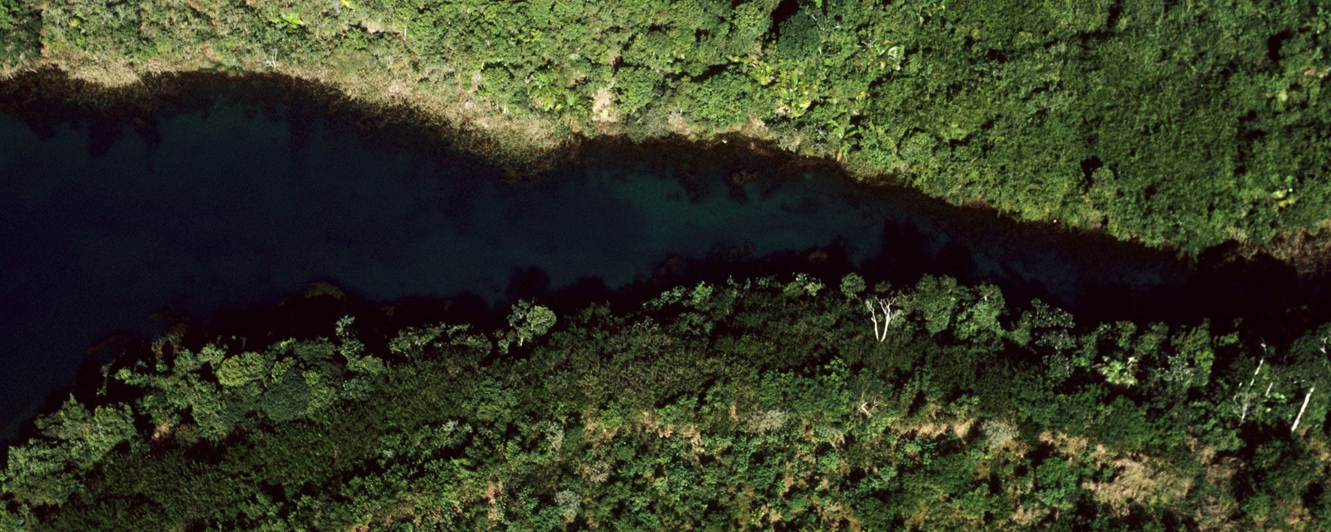 Aerial view of a deep blue river flowing through the rain forest in the Amazon, Brazil