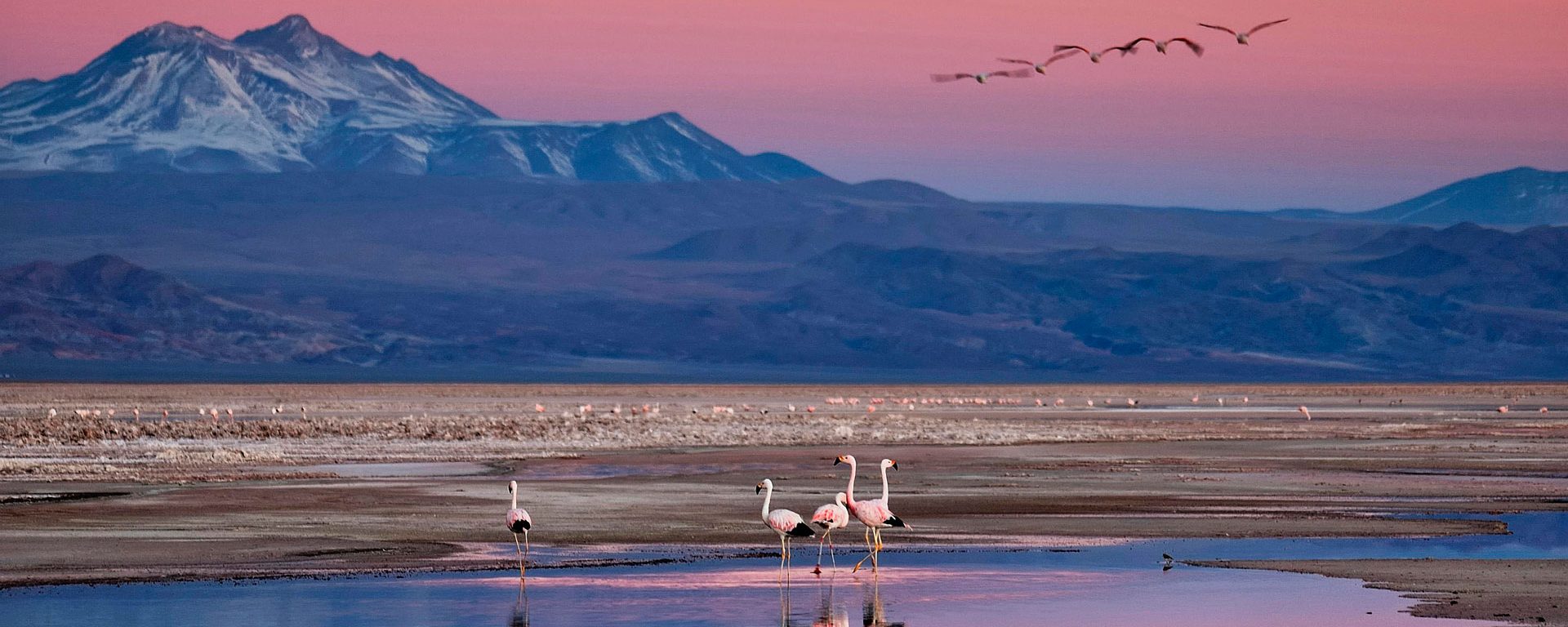 Mountain and lake with flamingos at sunset, Chile