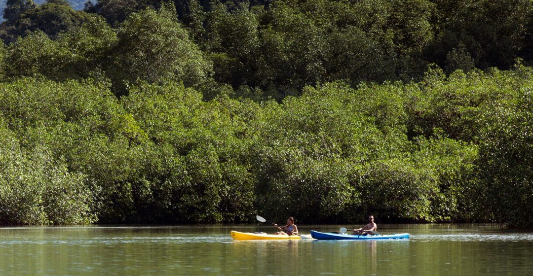 Kayakers on a river in Piedras Blancas National Park, Puntarenas, Costa Rica