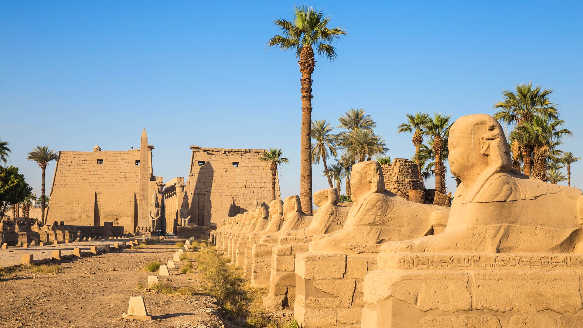 The Avenue of the Sphinxes and the entrance to Luxor Temple in Egypt