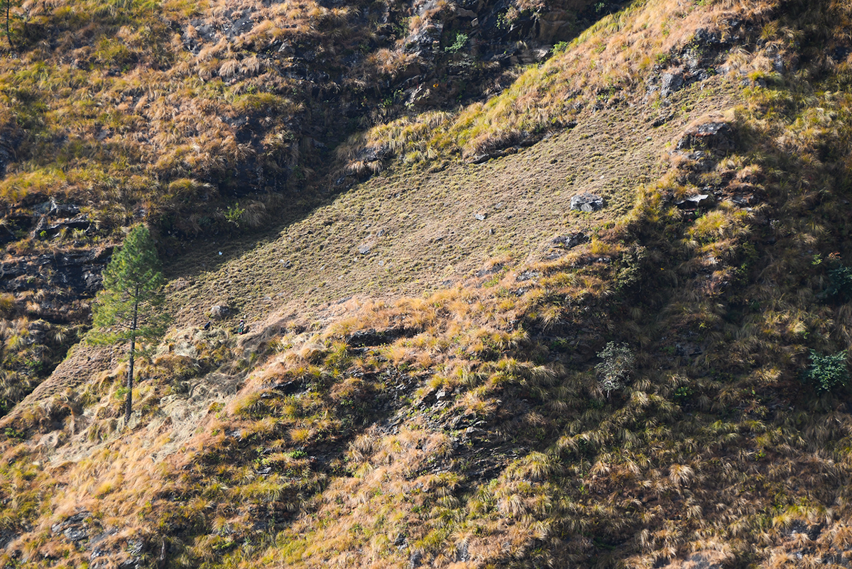 Hillside being cleared of grass in a remote village in India