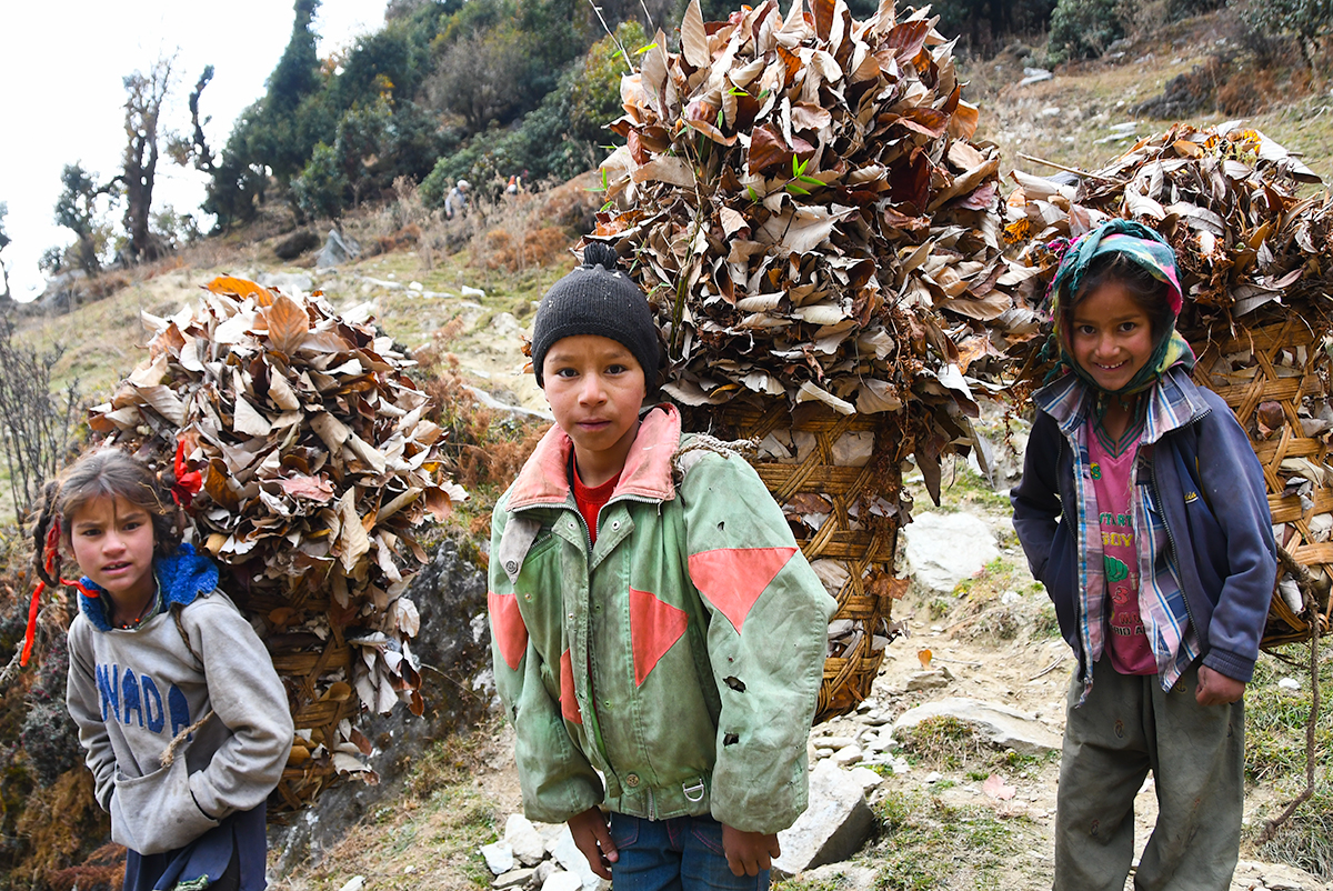 Children gathering leaves in the remote village of Pana in India