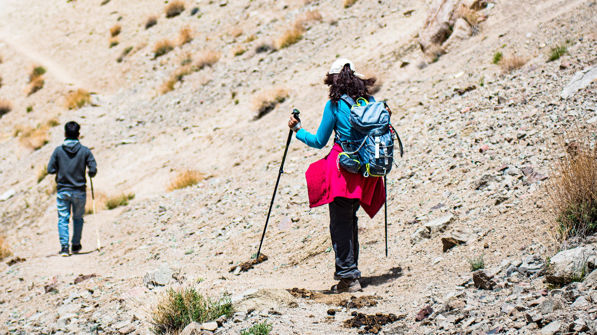 Hikers en route from Hemis Schukpachen to Ang, Ladakh, India