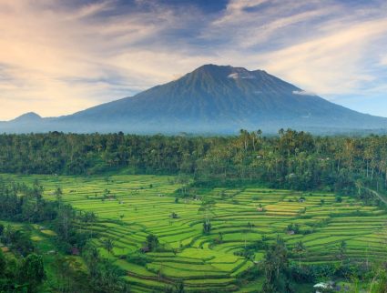 View of rice terraces and Gunung Agung volcano on Bali, Indonesia with GeoEx