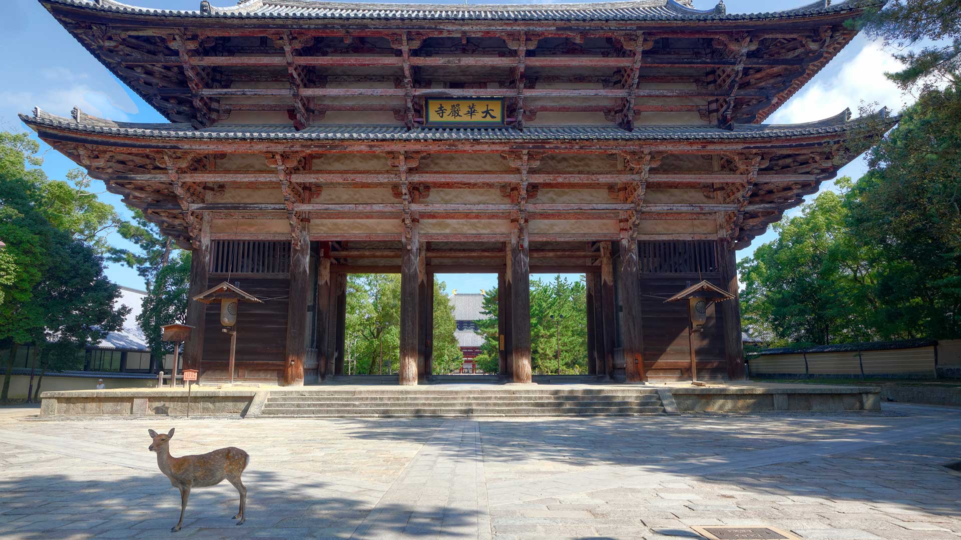 Deer in front of Todai-ji Temple, Nara