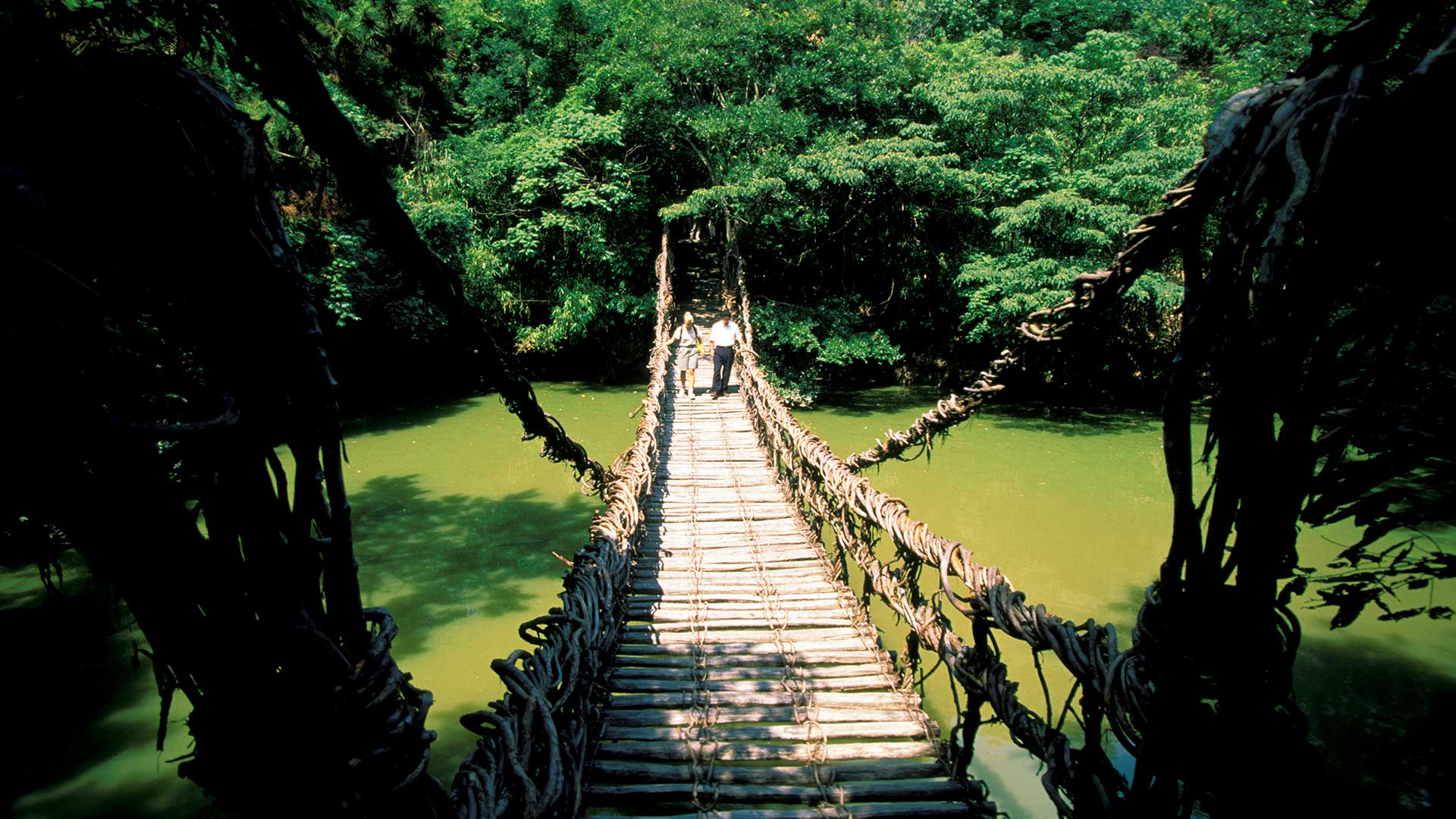 Vine bridge and tourists, Takamatsu