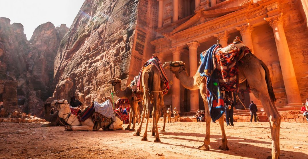 Camels in front of El Khazneh, Petra, Jordan