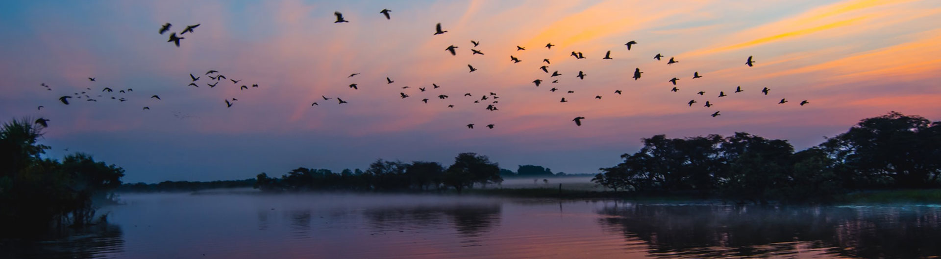 Birds at Sunrise, Kakadu, Australia