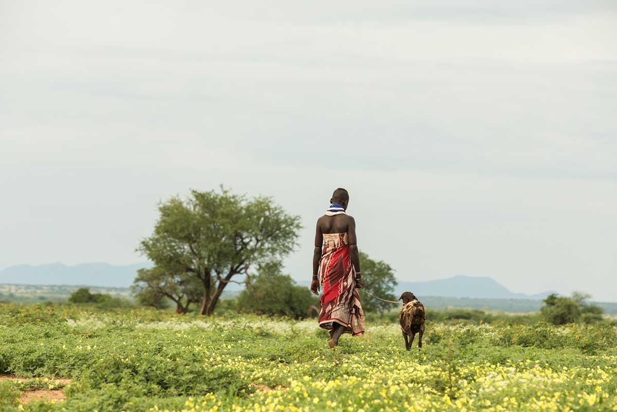 Child with tribe cattle.