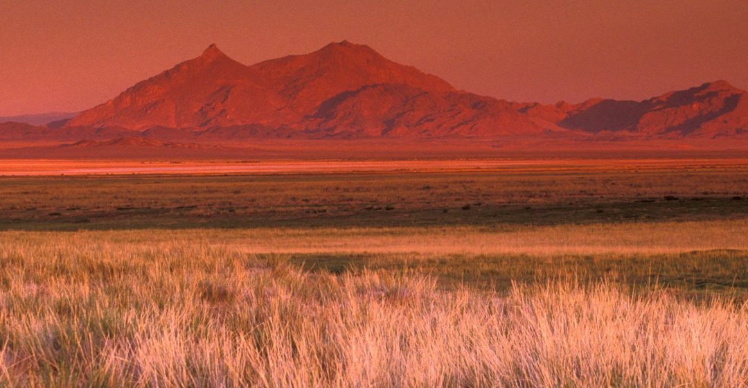 Mountain landscape and grass in the Gobi Desert, Mongolia