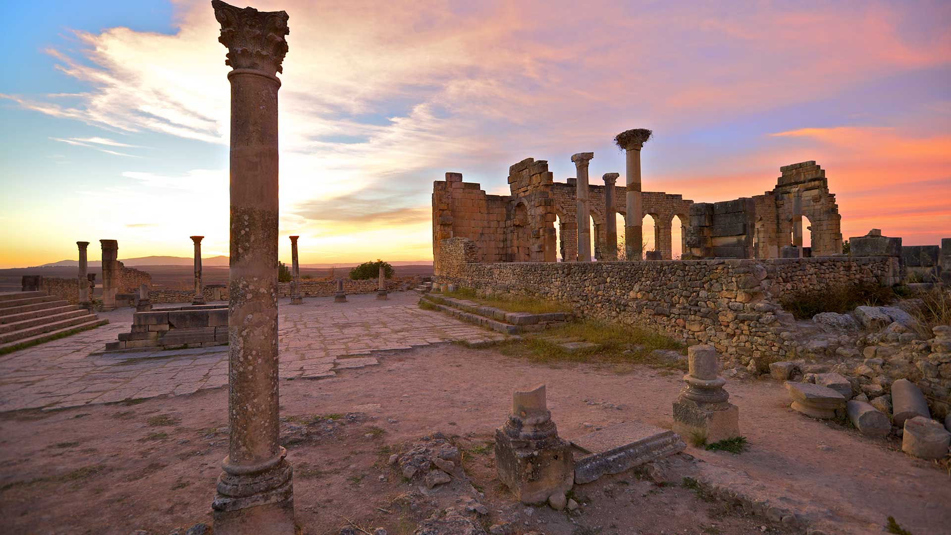 Excavated Roman City, Volubilis