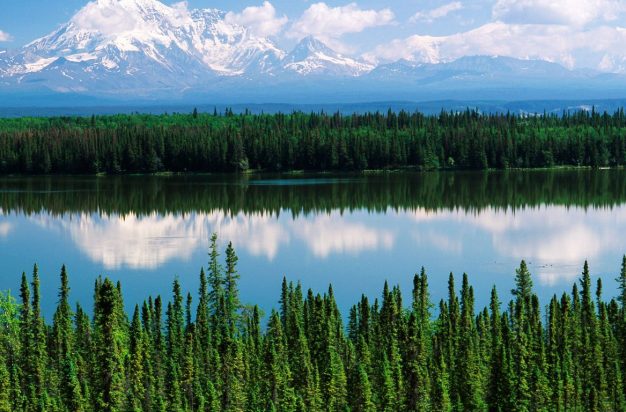 USA, Alaska, Willow lake and Mt Wrangell in Wrangell, St. Elias National Park