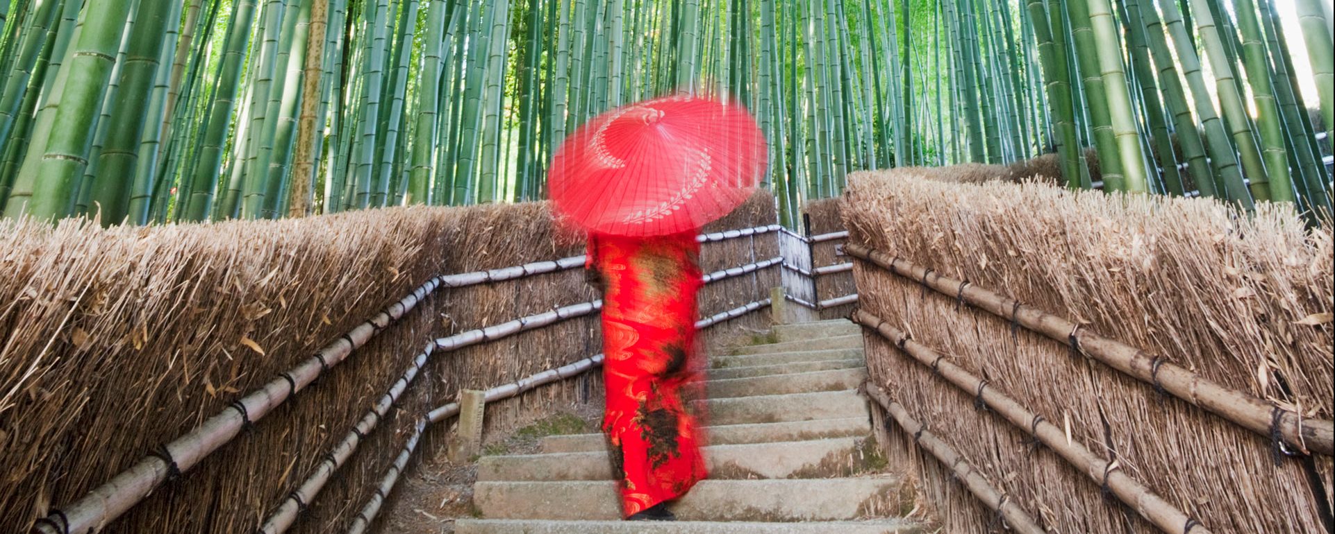 Japan, Kyoto, Arashiyama, Adashino Nembutsu-ji Temple, Bamboo Forest