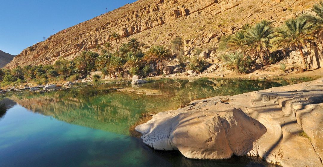 Fan palm trees with rocky mountains against clear sky reflecting in water, Wadi Bani Khalid, Oman