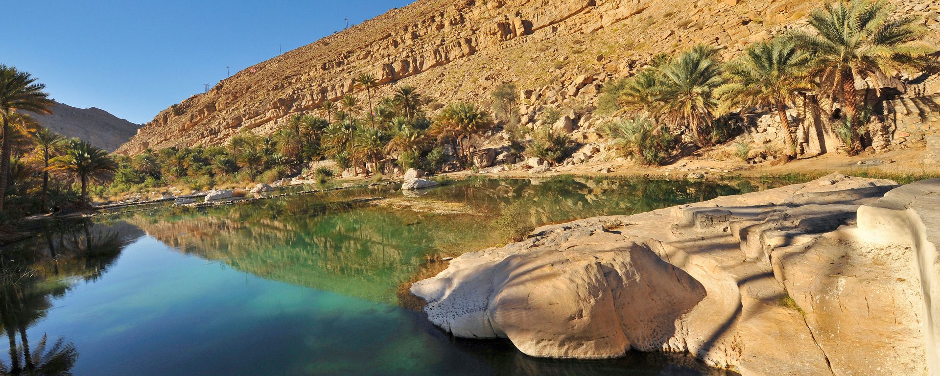 Fan palm trees with rocky mountains against clear sky reflecting in water, Wadi Bani Khalid, Oman