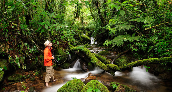 Photographer wading in creek at Parque Nacional de Amistad, Panama