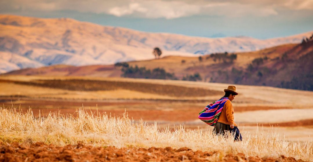 Farmer walking home at sunset, Sacred Valley, Peru