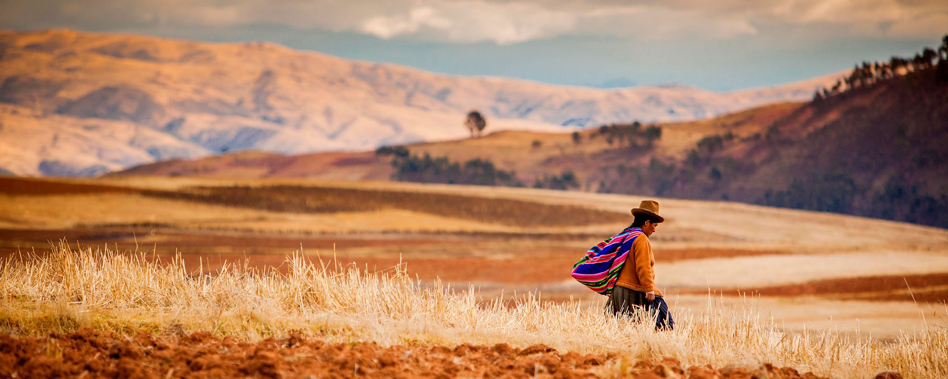 Farmer walking home at sunset, Sacred Valley, Peru