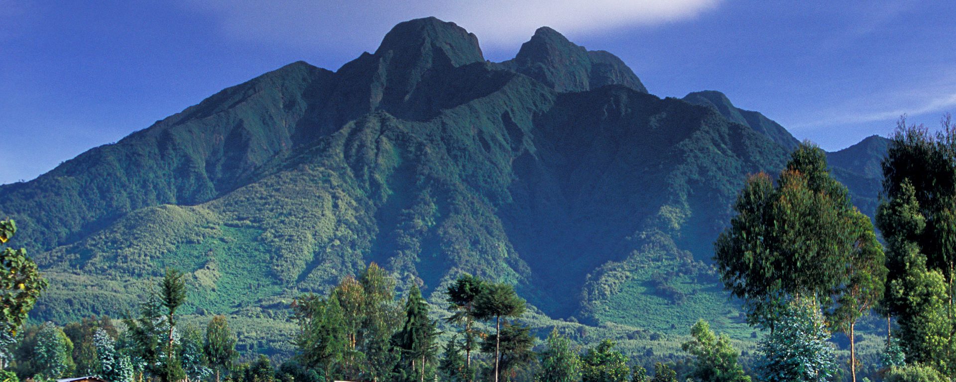 View of volcanoes from outside Volcanoes National Park, Rwanda