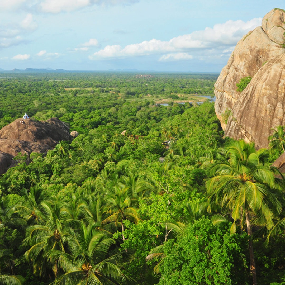 Sigiriya Rock Fortress in Sri Lanka