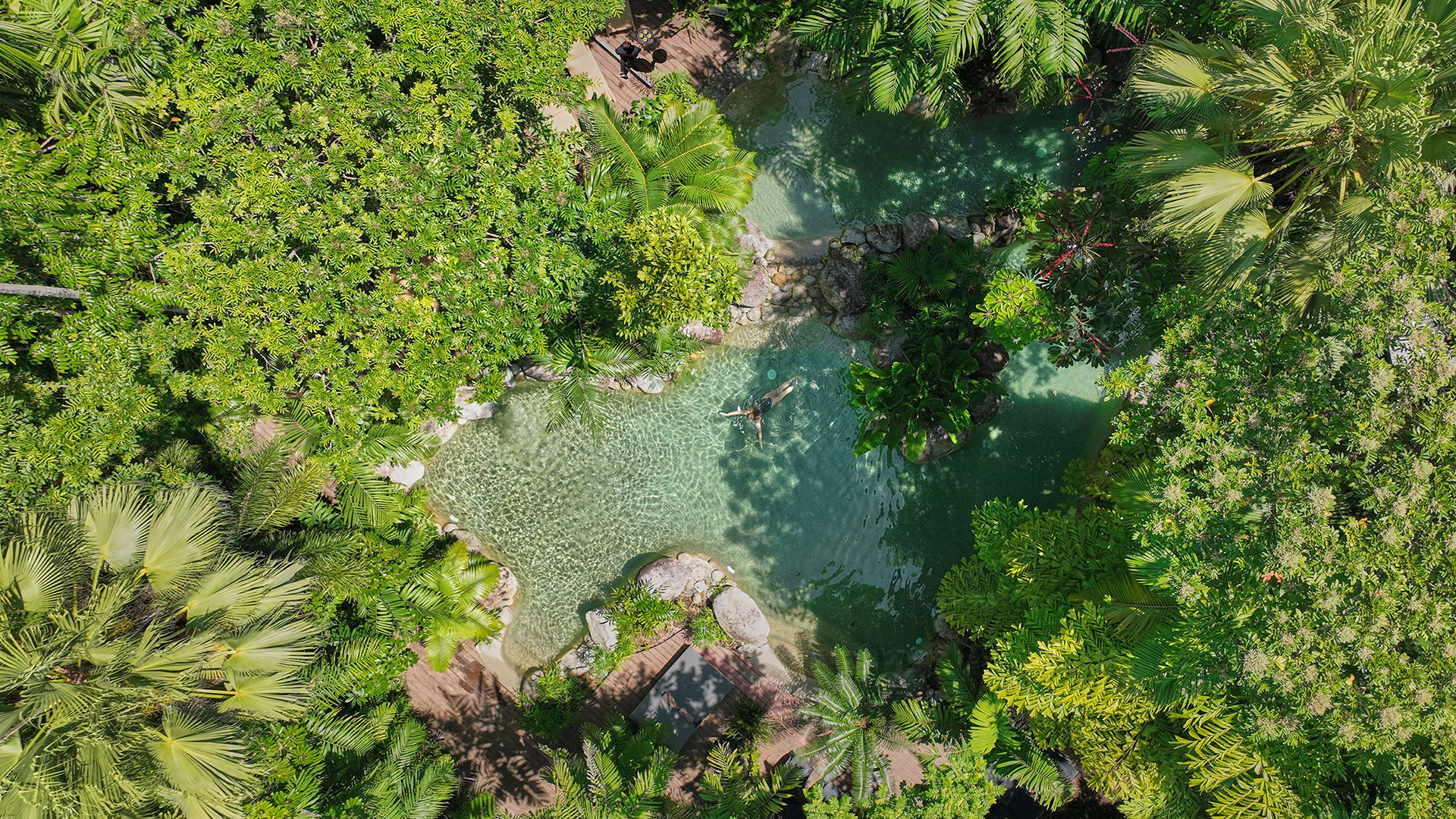 The Daintree Swimming Pool at Silky Oaks Lodge