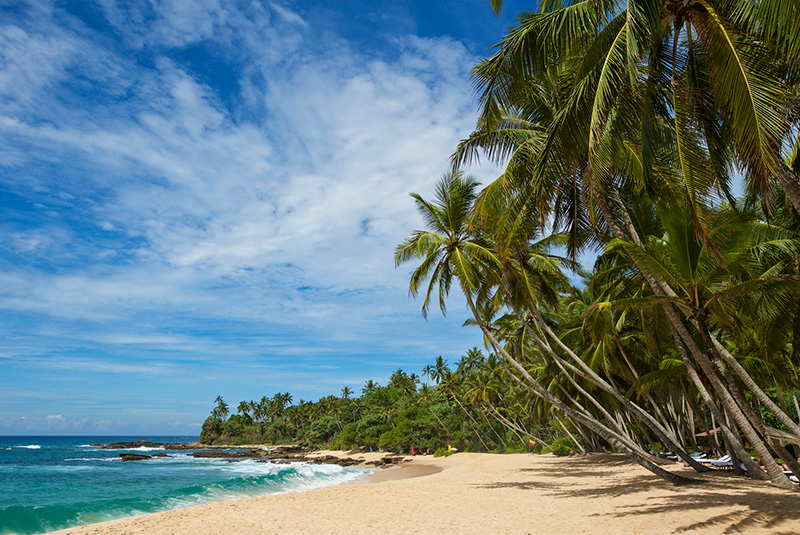 Palms trees and turquoise waters on Tangalle Beach, Sri Lanka