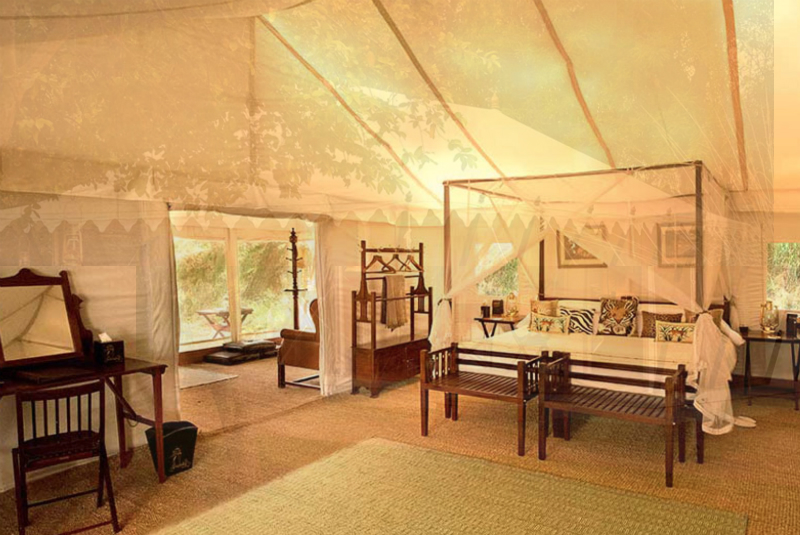 Stay at Sher Bagh, a luxurious tented camp situated close to the entrance of Ranthambore National Park, with GeoEx.