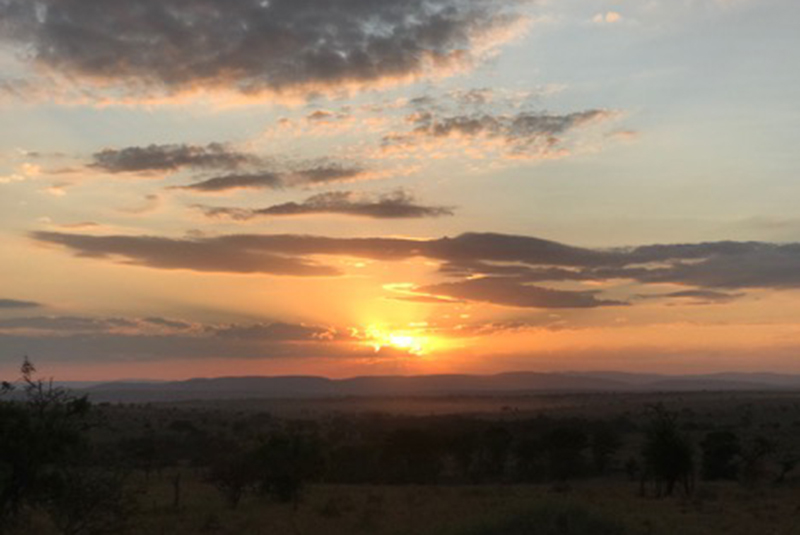 Sunrise in the Serengeti