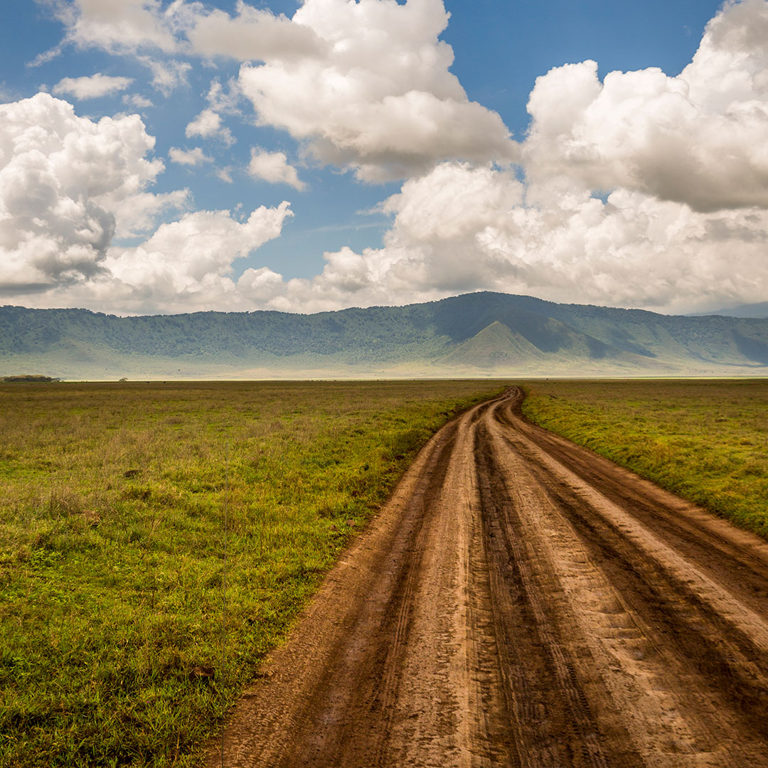 Open road in the Ngorongoro Crater, Tanzania