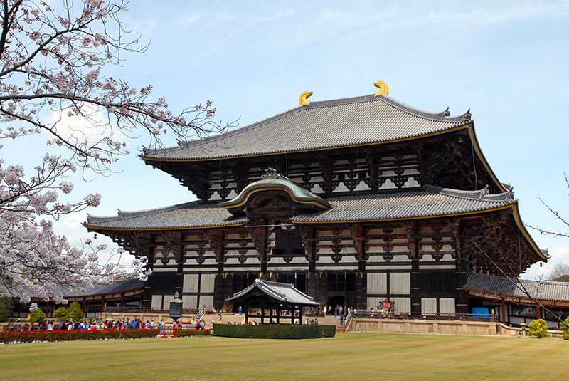 Cherry blossoms outside Todai-Ji temple in Nara, Japan