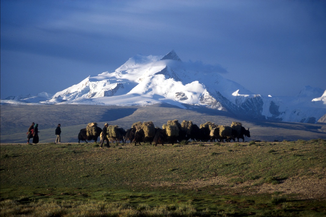 Himalaya mountain range in Tibet by Vassi Koutsaftis