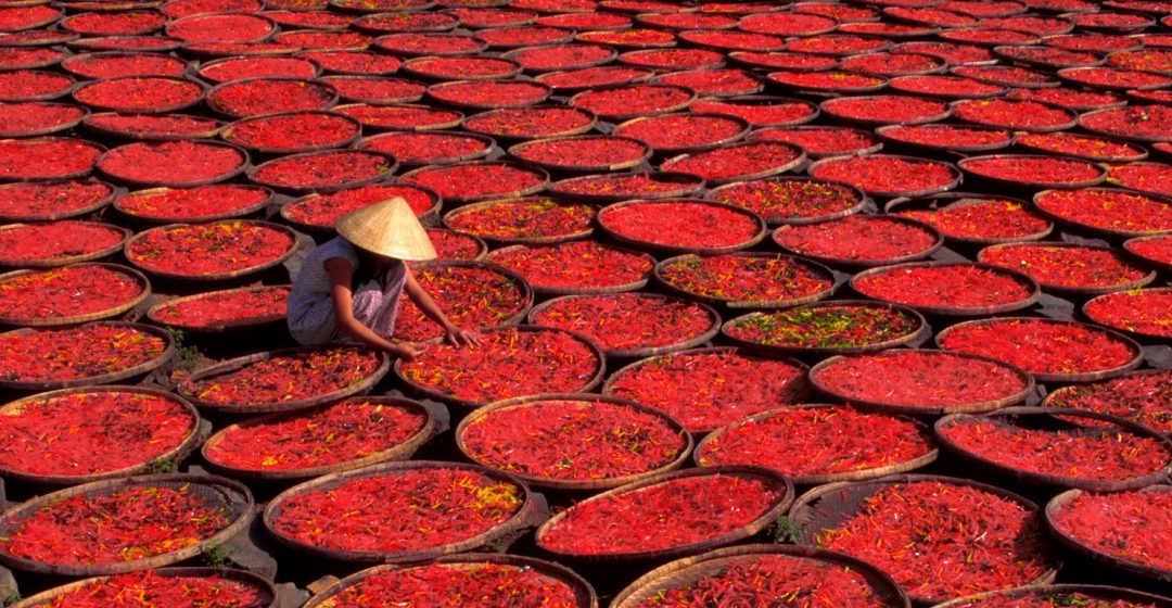 Candy drying in baskets under the sun, Vietnam