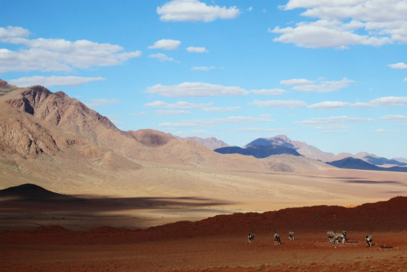 Oryx cluster around a waterhole in the Namib Desert, Namibia