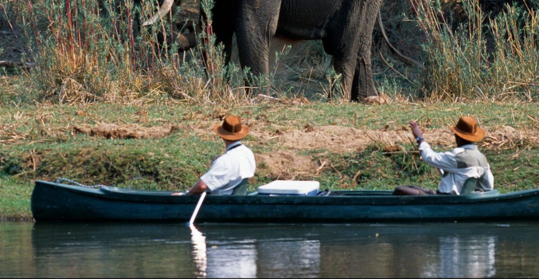 Canoe safari along the Chifungulu Channel, Zambia