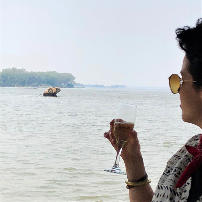 Elephant spotting during a boating safari on the Lower Zambezi, Zambia.